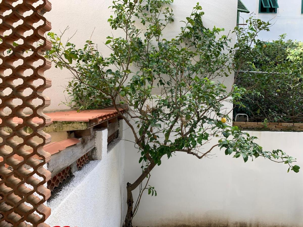 Pivarada 50 Apartamento